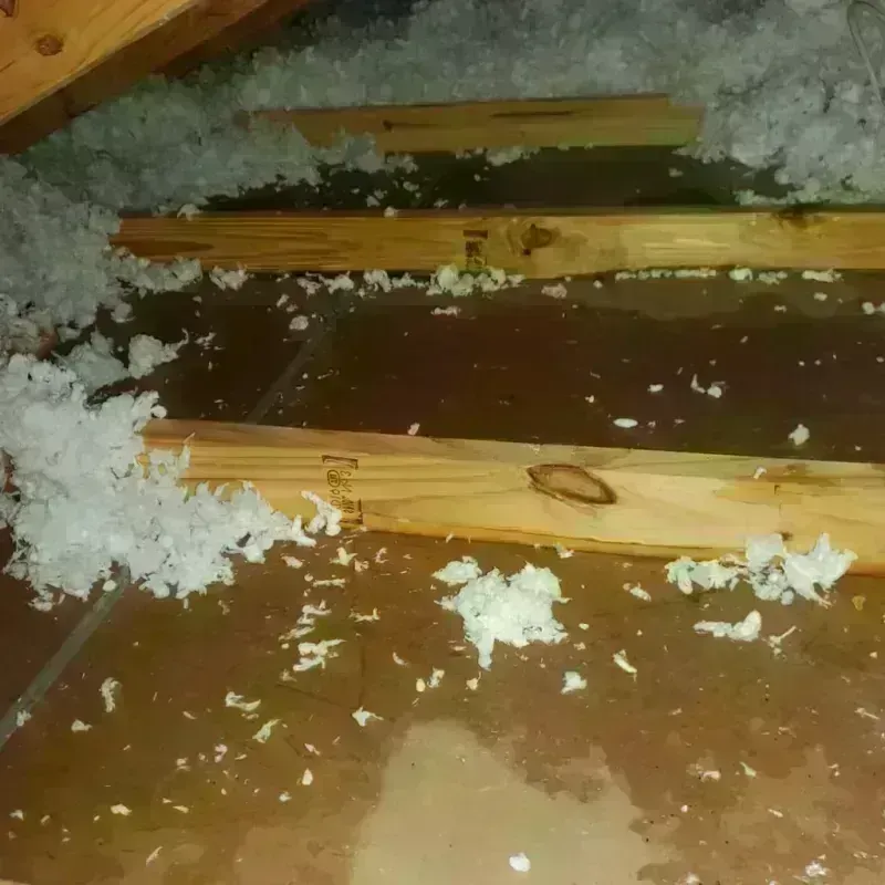 Attic Water Damage in Glasgow Village, MO